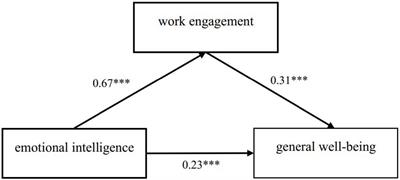 Emotional Intelligence and Well-Being of Special Education Teachers in China: The Mediating Role of Work-Engagement